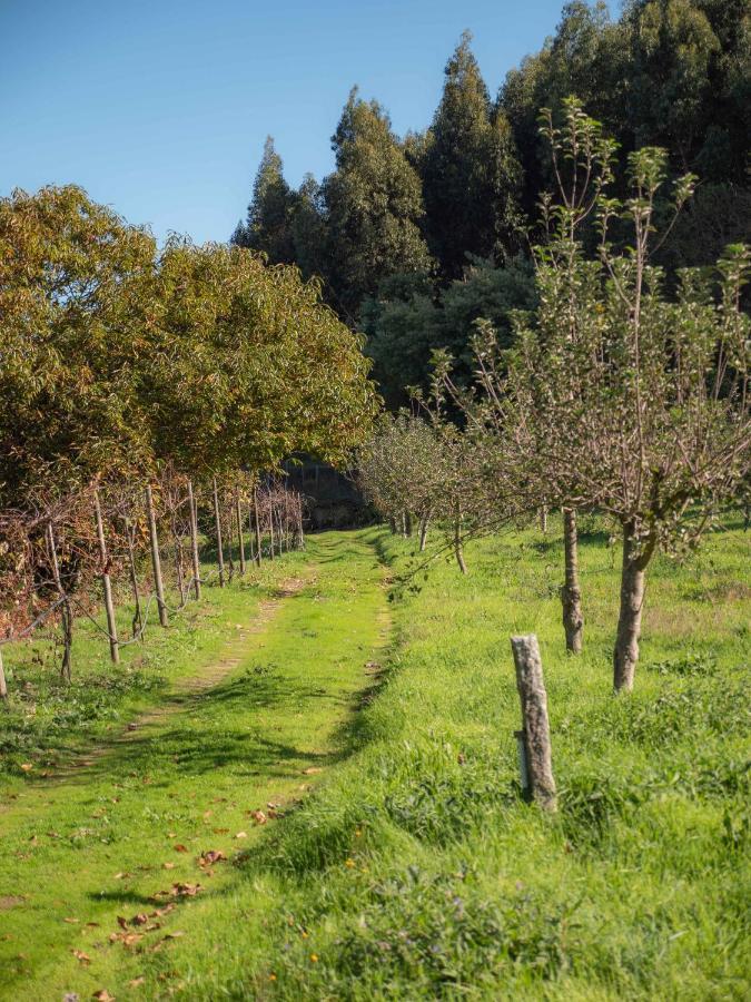 Naturena Agro-Turismo Durrães Zewnętrze zdjęcie