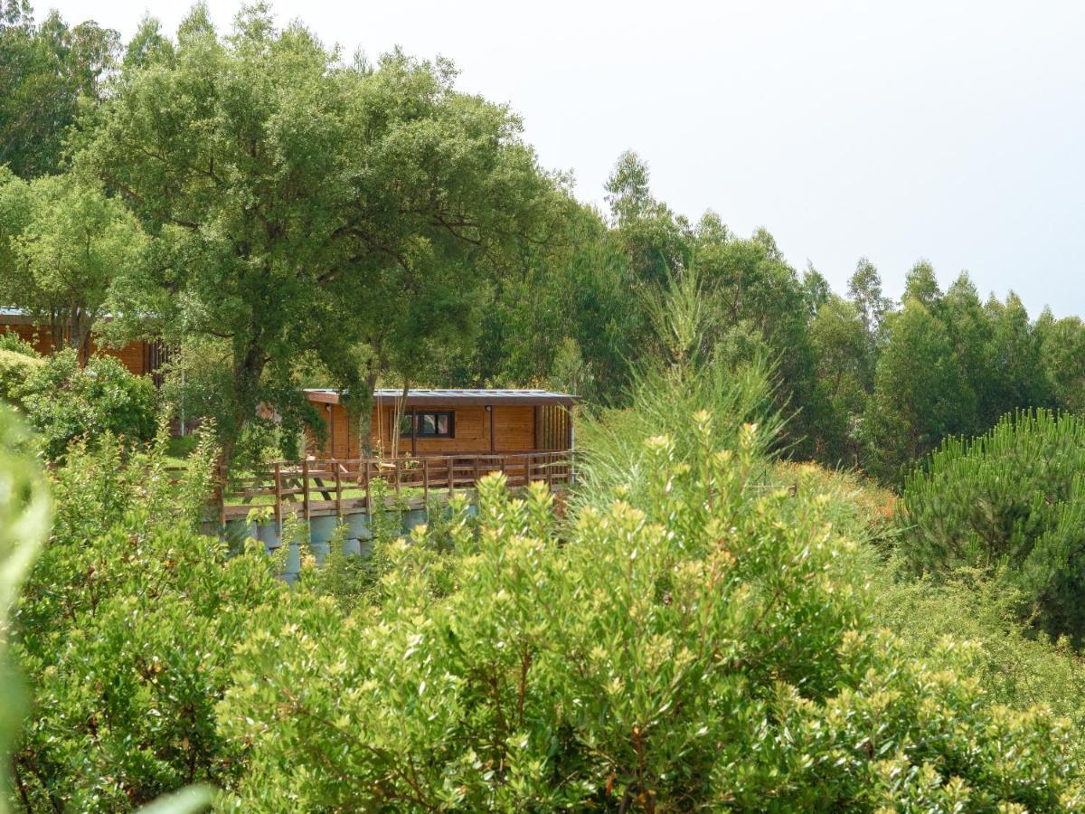 Naturena Agro-Turismo Durrães Zewnętrze zdjęcie